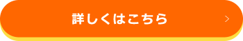 詳細をみる